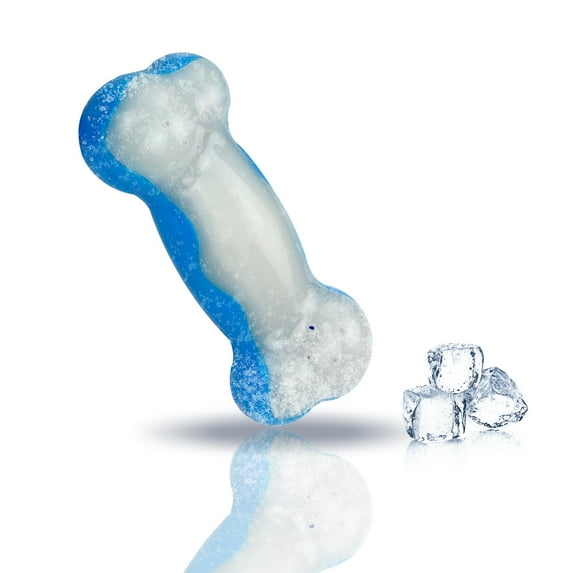 All For Paws Chill-Out Bite Resistance Dog Cooling Chew Toy for Summer, Ice Bone, L