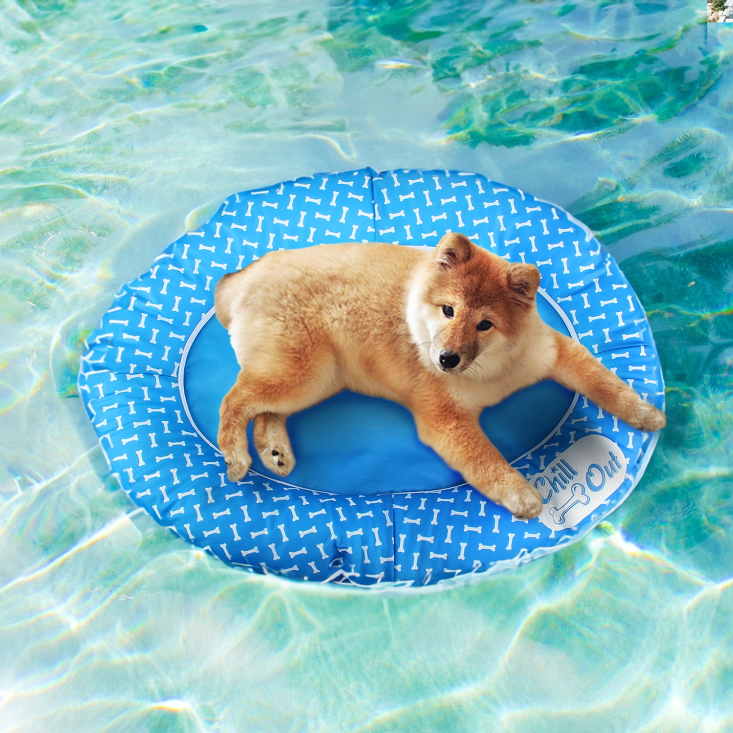 All For Paws Chill-Out Non-Inflatable Dog Pool Float for Small &  Medium-Sized Dogs