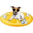 thumbnail image 1 of All For Paws Chill-Out Pressure-Activated Cooling Mat for Small Dogs, Orange, 23.6”, 1 of 8
