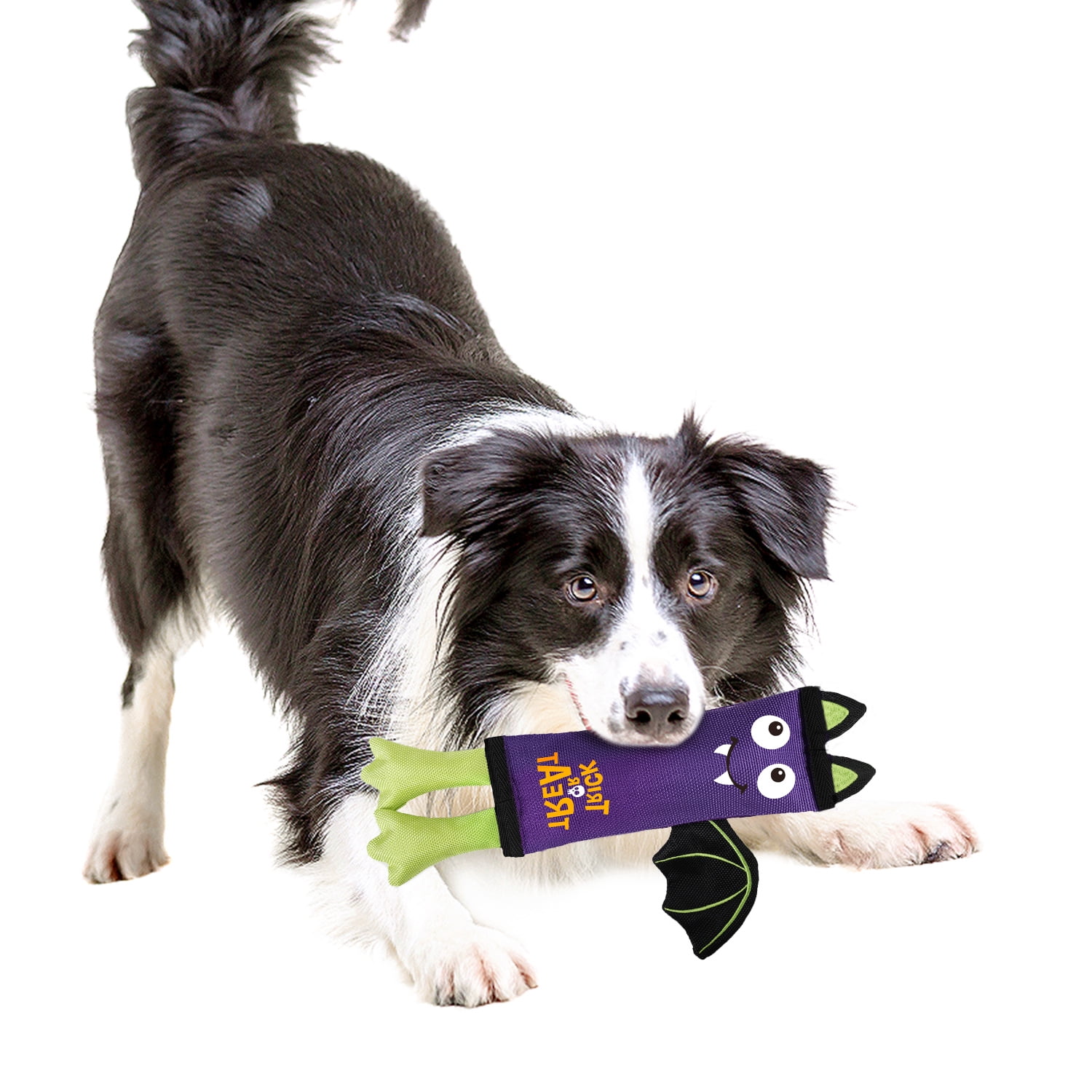 All For Paws Halloween No Stuffing Crinkle Dog Fetch Toy with Squeaker