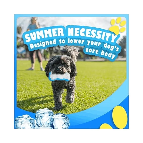 All For Paws Ice Bone Toy - Dog Chewing & Cooling Freezer Chew Toy for Hot Days