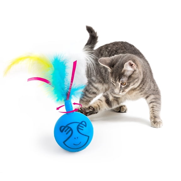 All For Paws Interactive Cat Toys Ball, Automatic Moving Cat Teaser Toy for Indoor Kitty, Blue