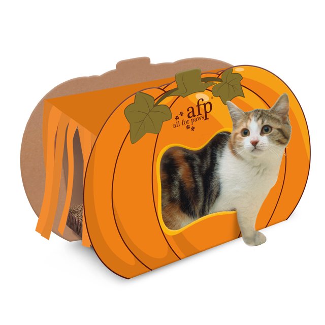 All For Paws Pumpkin Cardboard Cat House with Scratching Pad & Catnip
