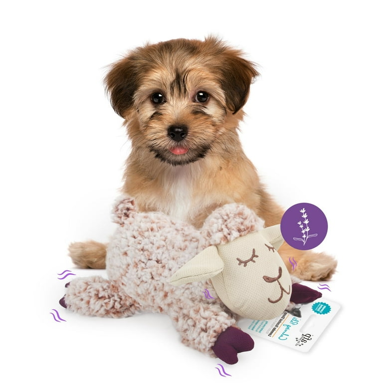 All For Paws Lavender Scented Snuggling Dog Toy, Sheep Plush with