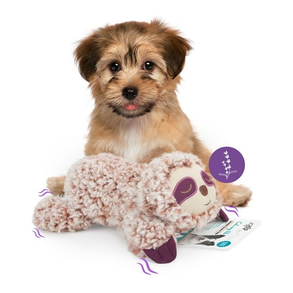 All For Paws Puppy Plush Snuggling Toy with Squeaker, Lavender Scented Dog Sleep Aid & Anxiety Relief Toy, Sloth