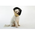 thumbnail image 1 of All Four Paws The Comfy Cone, 1 of 3