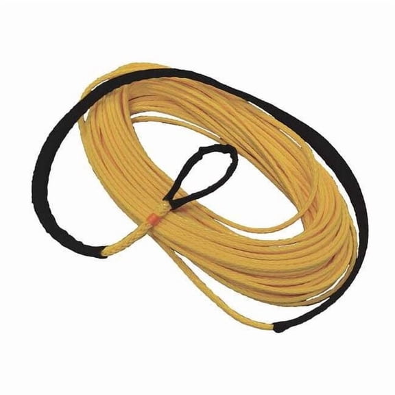 All Gear Winch Line Ext,Synthtic,5/16 In x 100 ft AG12SS516100Ex