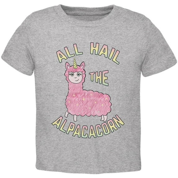 All Hail the Alpacacorn Toddler T Shirt Heather 2T