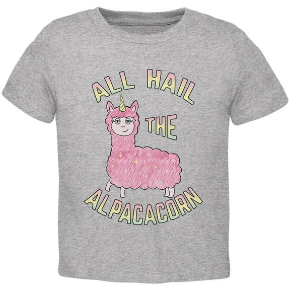 All Hail the Alpacacorn Toddler T Shirt Heather 2T