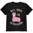 thumbnail image 1 of All Hail the Alpacacorn Youth T Shirt Black YSM, 1 of 1