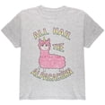 thumbnail image 1 of All Hail the Alpacacorn Youth T Shirt Light Heather Grey YXL, 1 of 1