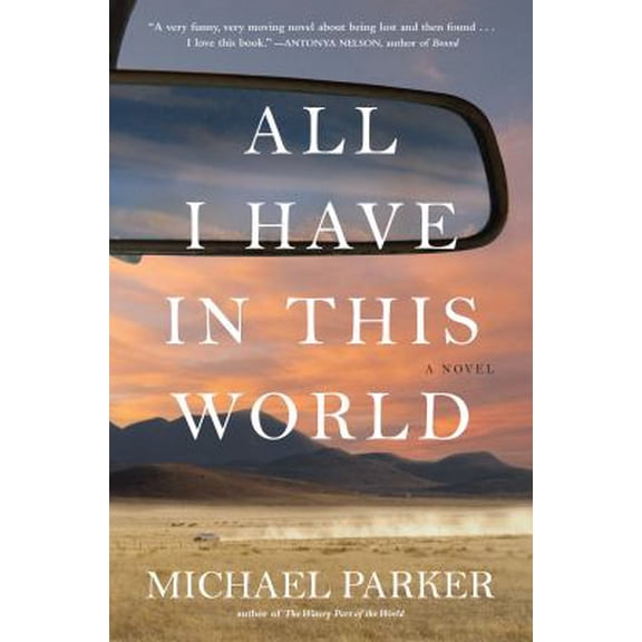 Pre-Owned All I Have in This World: A Novel (Hardcover) 1616201622 9781616201623