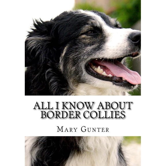 All I Know about Border Collie