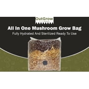 All In One Mushroom Grow Bag | 3lb Mushroom Substrate | Injection Port & Filter Patch