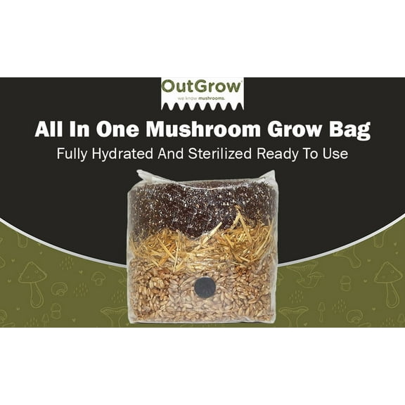All In One Mushroom Grow Bag | 3lb Mushroom Substrate | Injection Port & Filter Patch