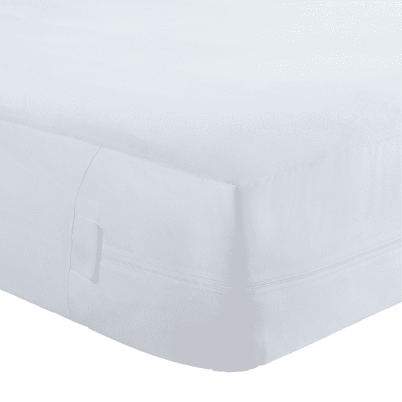 Bed Bug Couch Covers