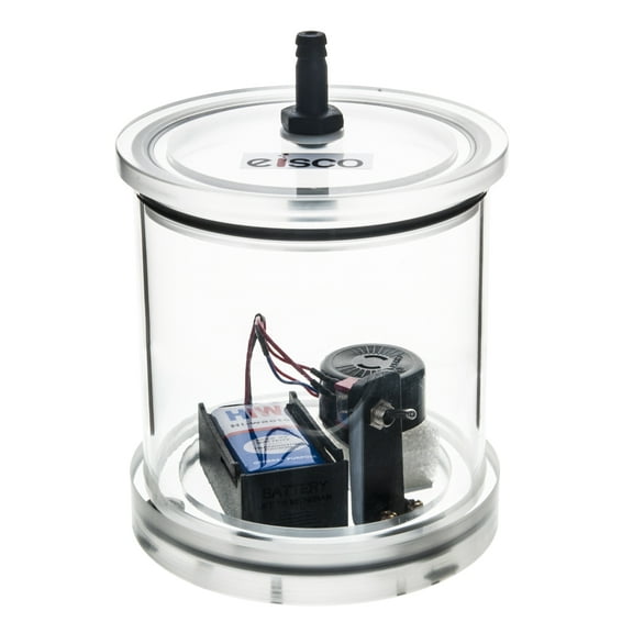 All Inclusive Buzzer In A Vacuum Jar Kit