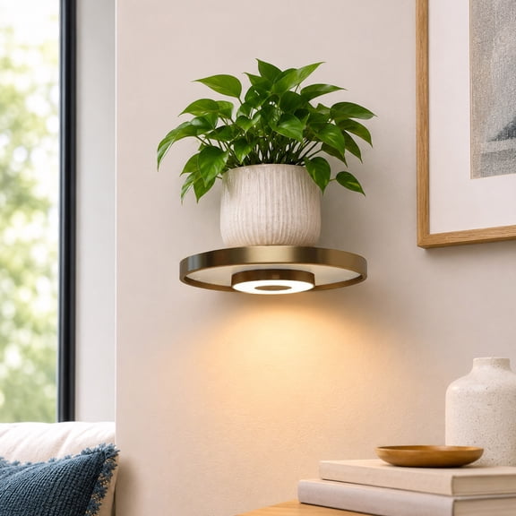 All Indoor Floating LED Wall Sconce, Modern Minimalist Gold Circular Wall Lighting