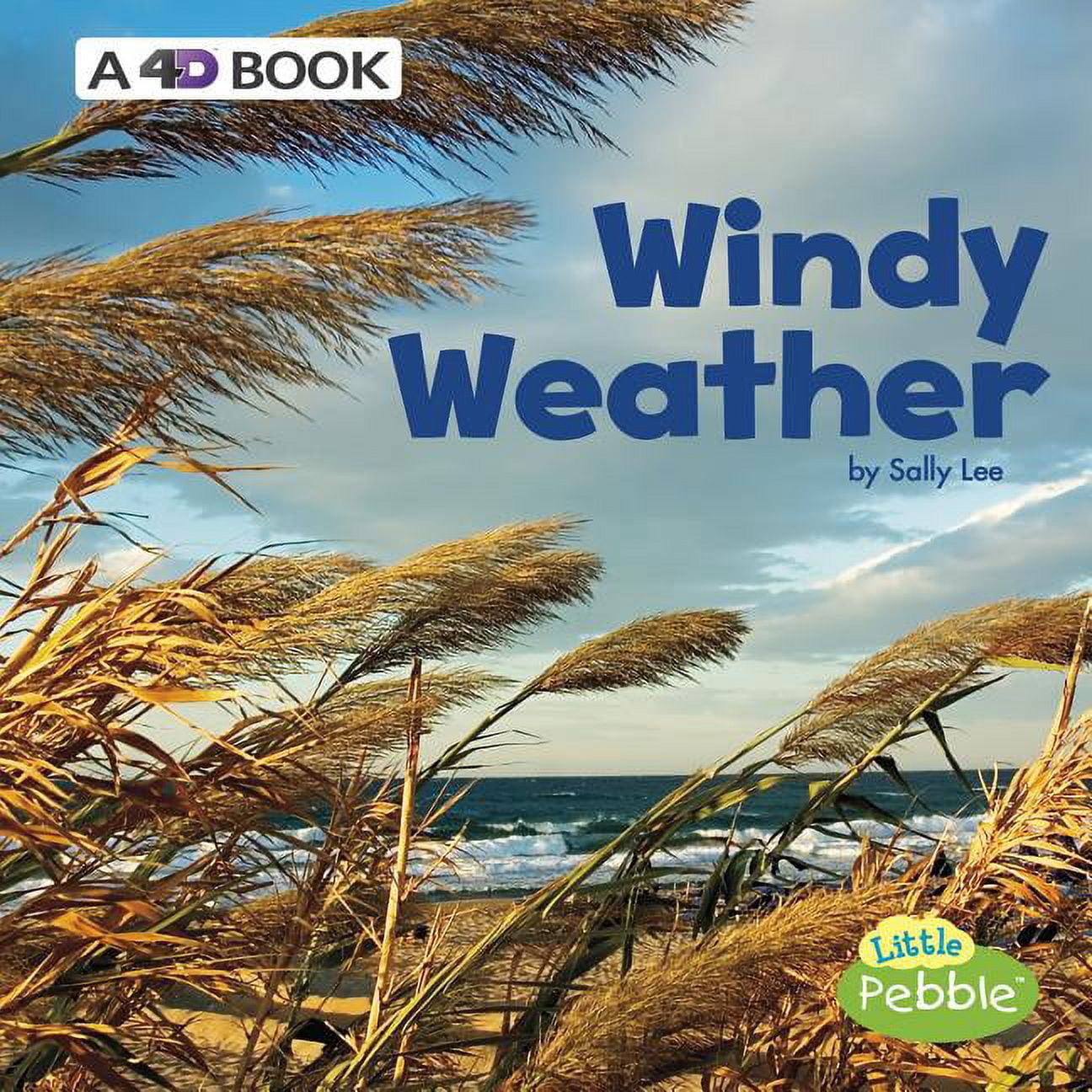 All Kinds of Weather: Windy Weather: A 4D Book (Hardcover) - Walmart.com