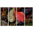 thumbnail image 1 of All My Walls 0152ME00005 Leaves 3 Metal Wall Art, Brown, Red, Green & Yellow - Oversized, 1 of 1