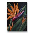 thumbnail image 1 of All My Walls 'Birds of Paradise 1' by Elaine Hodges Painting Print Plaque, 1 of 2