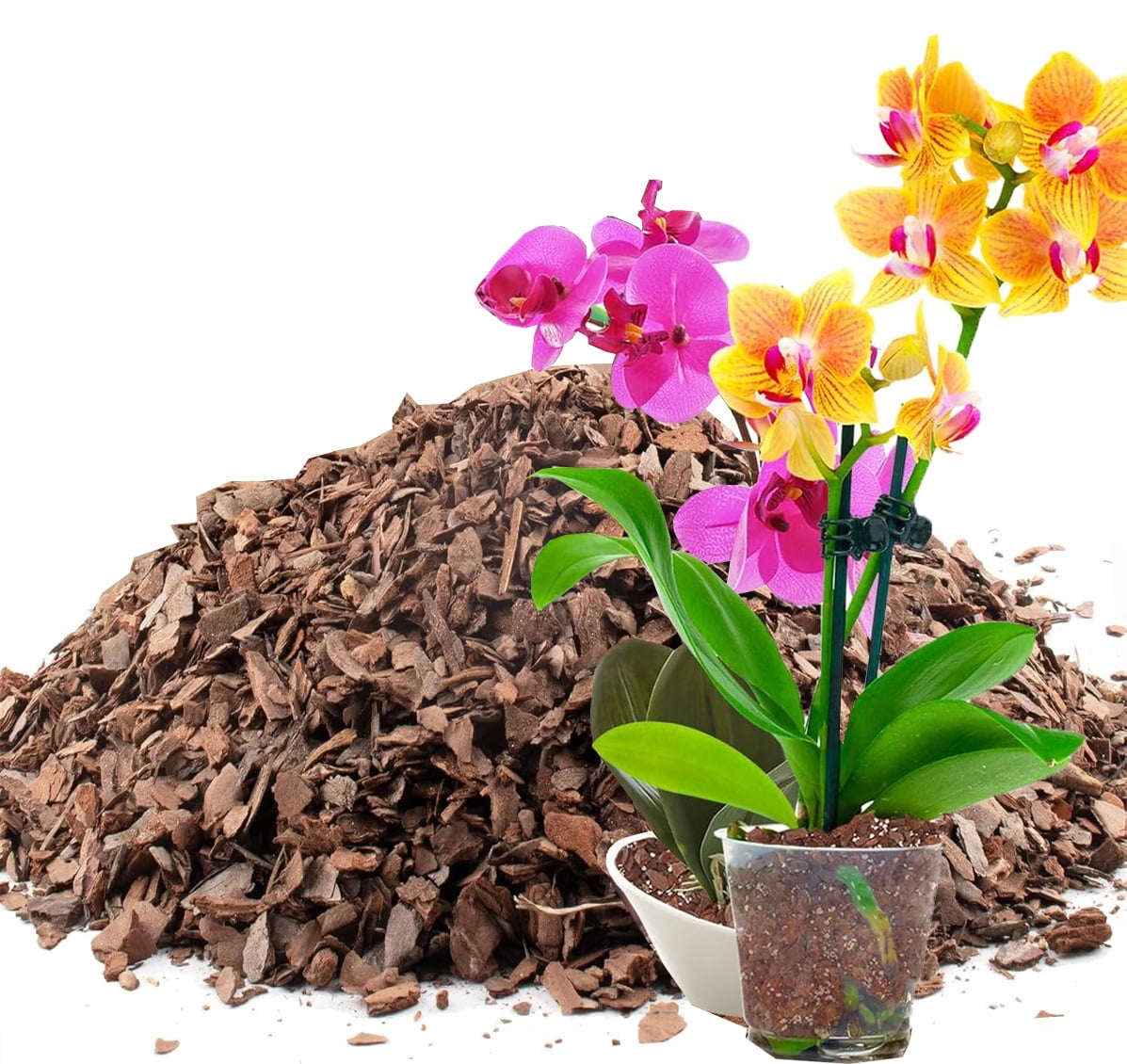Organic Orchid Potting Mix,Bexikou Orchid Barks Organic Pine Bark,10oz 0.1-0.35in Natural Orchid Bark Potting Mix for Succulents,Orchids, Indoor Plants,Pine Bark Chips for Optimal Drainage & Aeration
