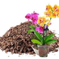 Organic Orchid Potting Mix,Bexikou Orchid Barks Organic Pine Bark,10oz 0.1-0.35in Natural Orchid Bark Potting Mix for Succulents,Orchids, Indoor Plants,Pine Bark Chips for Optimal Drainage & Aeration