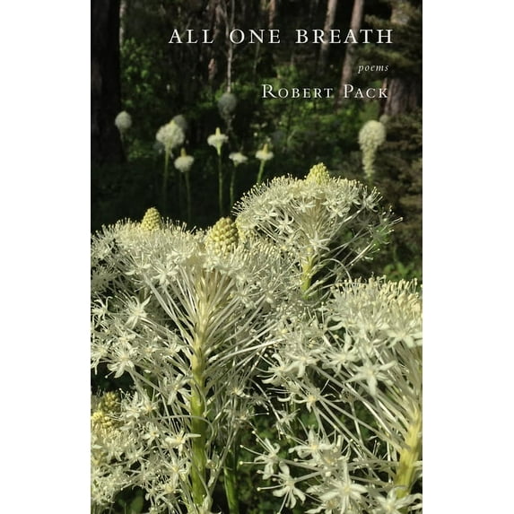 All One Breath (Paperback)