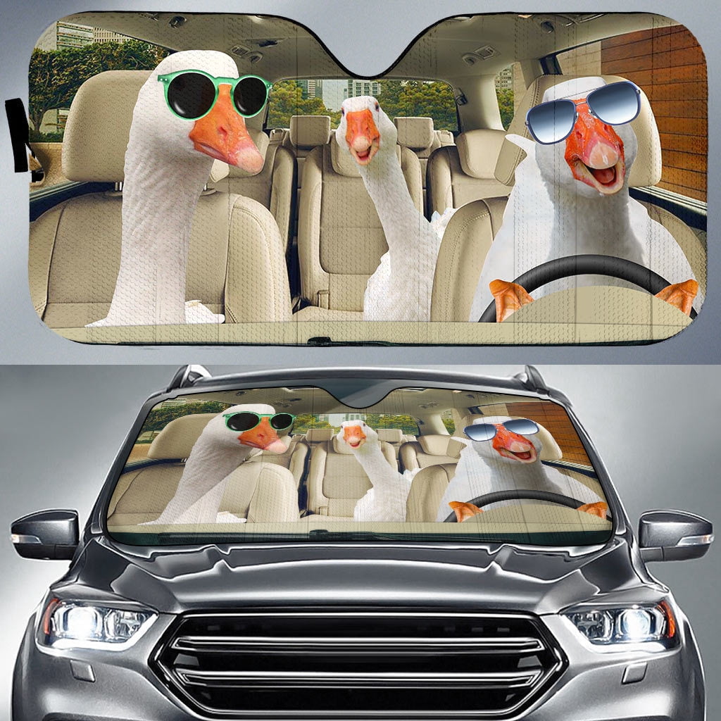 Funny Car Sun Shade
