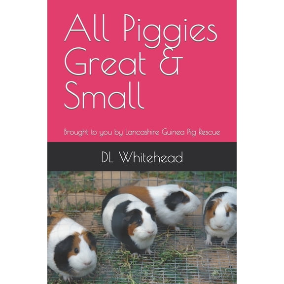 All Piggies Great & Small : Brought to you by Lancashire Guinea Pig Rescue (Paperback)