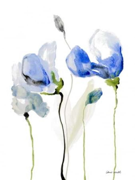All Poppies II Canvas Art - Lanie Loreth (22X28)