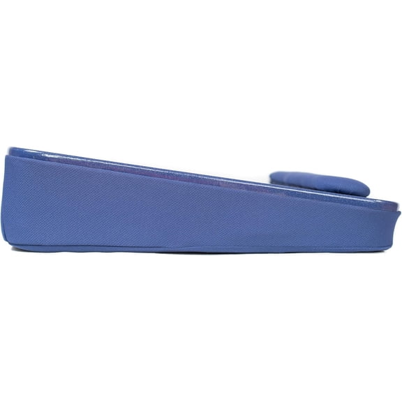 All-Purpose Lap Desk Color: Blue