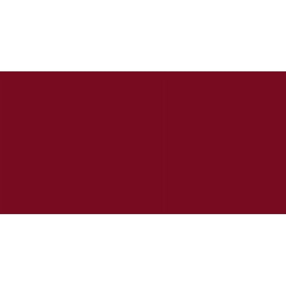 All-Purpose Plastic Zipper 9"-Barberry Red
