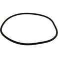 thumbnail image 1 of All Seals Replacement Filter Tank O-Ring for Purex CFW/2000, 18" Tank Body AS-053LE, 1 of 2