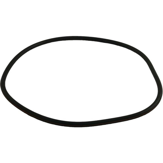 All Seals Replacement Filter Tank O-Ring for Purex CFW/2000, 18" Tank Body AS-053LE