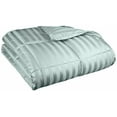 thumbnail image 1 of All Season Down Alternative 1 inch Stripes Comforter Jade / Full/Queen, 1 of 1
