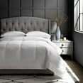 thumbnail image 1 of All Season Hypoallergenic  EnviroLoft® Down Alternative Hotel Comforter by DOWNLITE®, 1 of 4