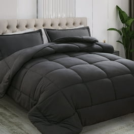 Comfort Canopy 2 Pack Sage Pillow Shams Microfiber Ultra Soft for King Beds Walmart
