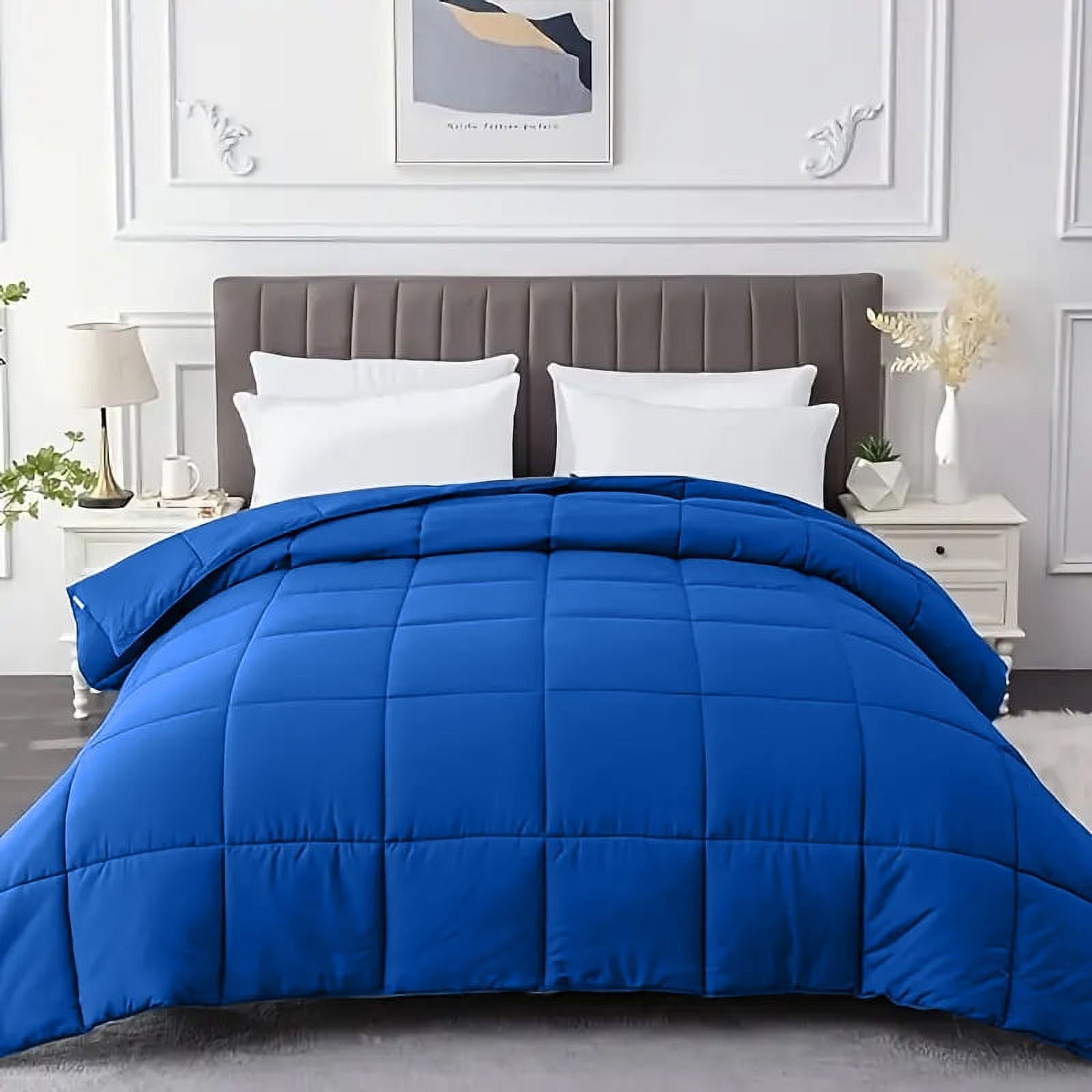 All Season Queen Size Soft Quilted Down Alternative Comforter Reversible Duvet Insert with