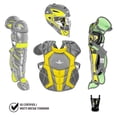 thumbnail image 1 of All Star Intermediate System7 Axis Elite Travel Team Catcher's Set Grey/Gold, 1 of 2