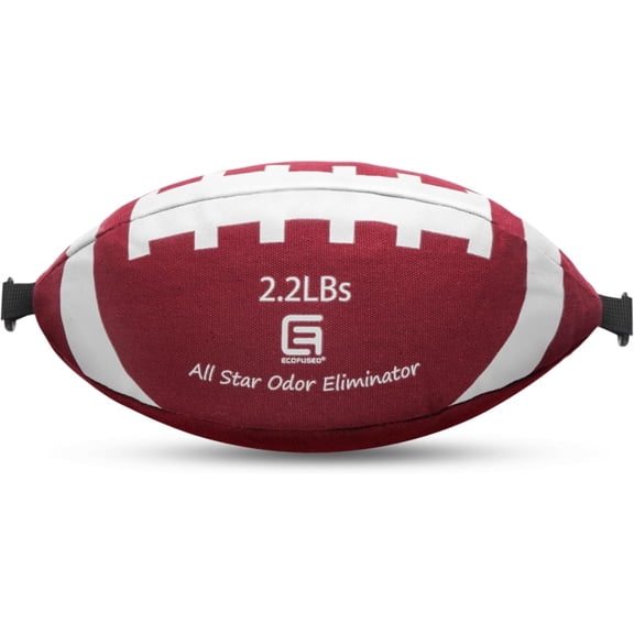 All-Star Odor Eliminator, Activated Charcoal Odor Absorber for Strong Odors in Car, Basement, Closet, 2.2 LB (1000 G) Extra Large Size for Small to Medium Spaces, Baking Soda Odor Absorber Deodorizer