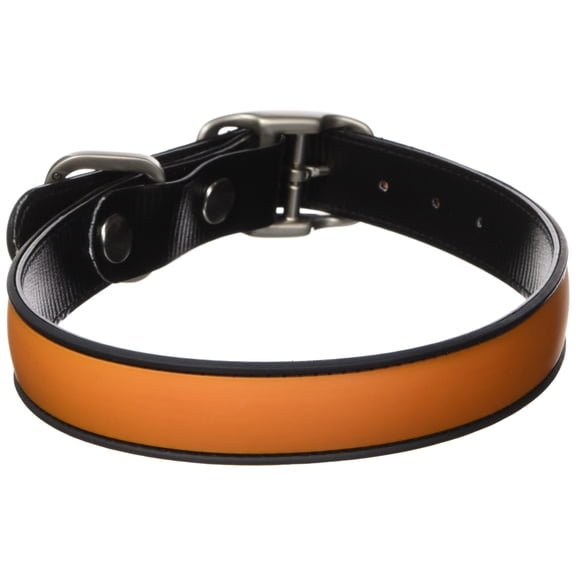 All Style 17-Inch by 21-1/2-Inch No Stink Dog Collar, Large, Hunter Orange