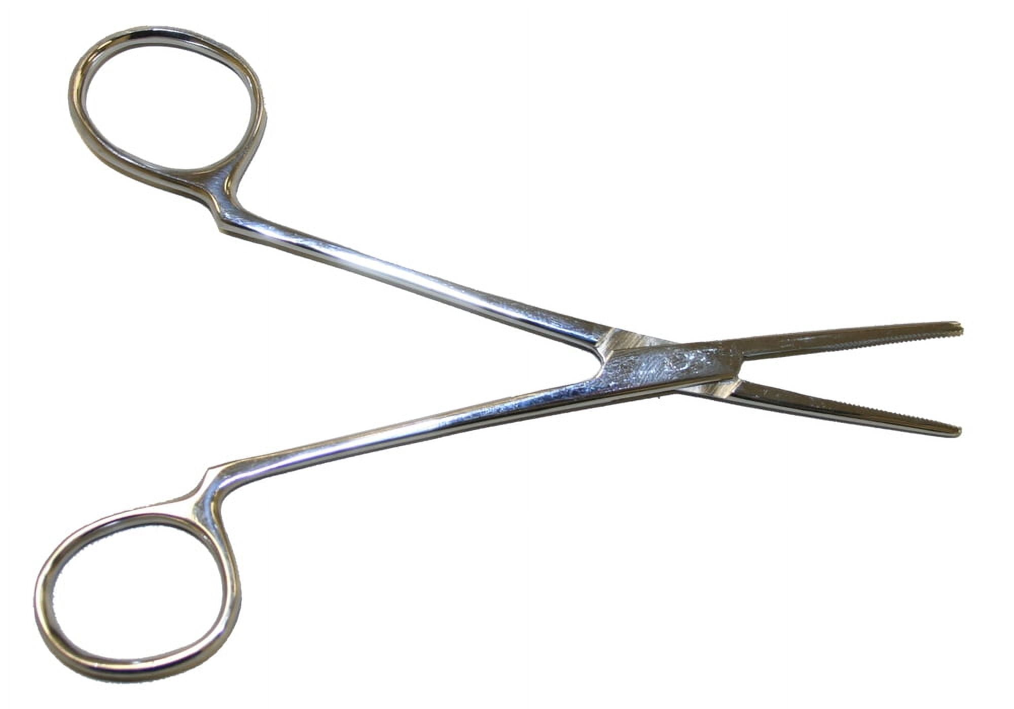 All Systems AS Beachwood Handle Pin Brush Oblong