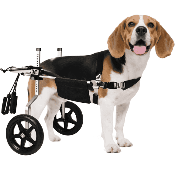 Virbraroo Dog Wheelchair for Back Legs – Lightweight Adjustable Mobility Aid for Medium & Large Dogs - Ideal for IVDD, Arthritis & Injury Recovery