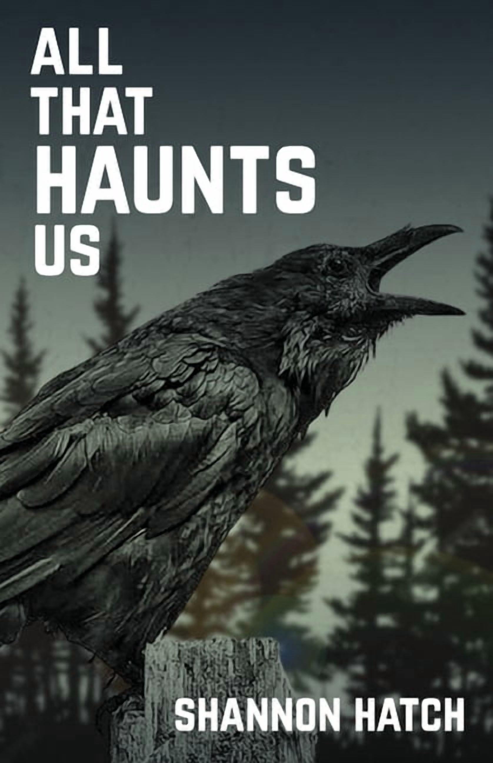 All That Haunts Us, (Paperback)