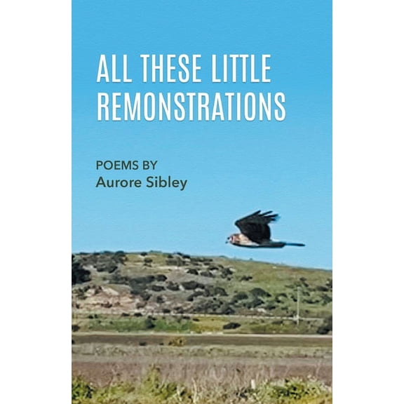 All These Little Remonstrations Paperback 1646626834 9781646626830 Aurore Sibley