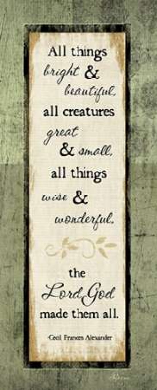 All Things Bright and Beautiful Canvas Art - Jennifer Pugh (24 x 48)
