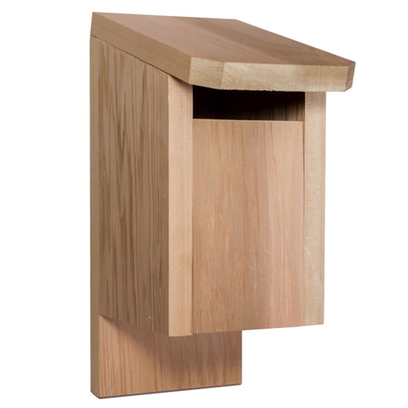 All Things Cedar BH12 Cedar Blue Jay Outdoor Birdhouse - 5.5L x 8W x 12H