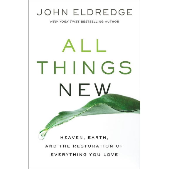 All Things New: Heaven, Earth, and the Restoration of Everything You Love, (Paperback)