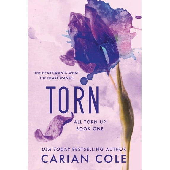 All Torn Up Torn, Book 1, (Paperback)